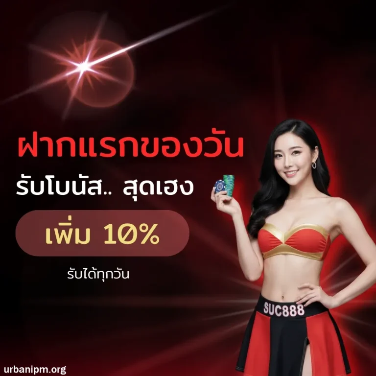 เว็บsuc888